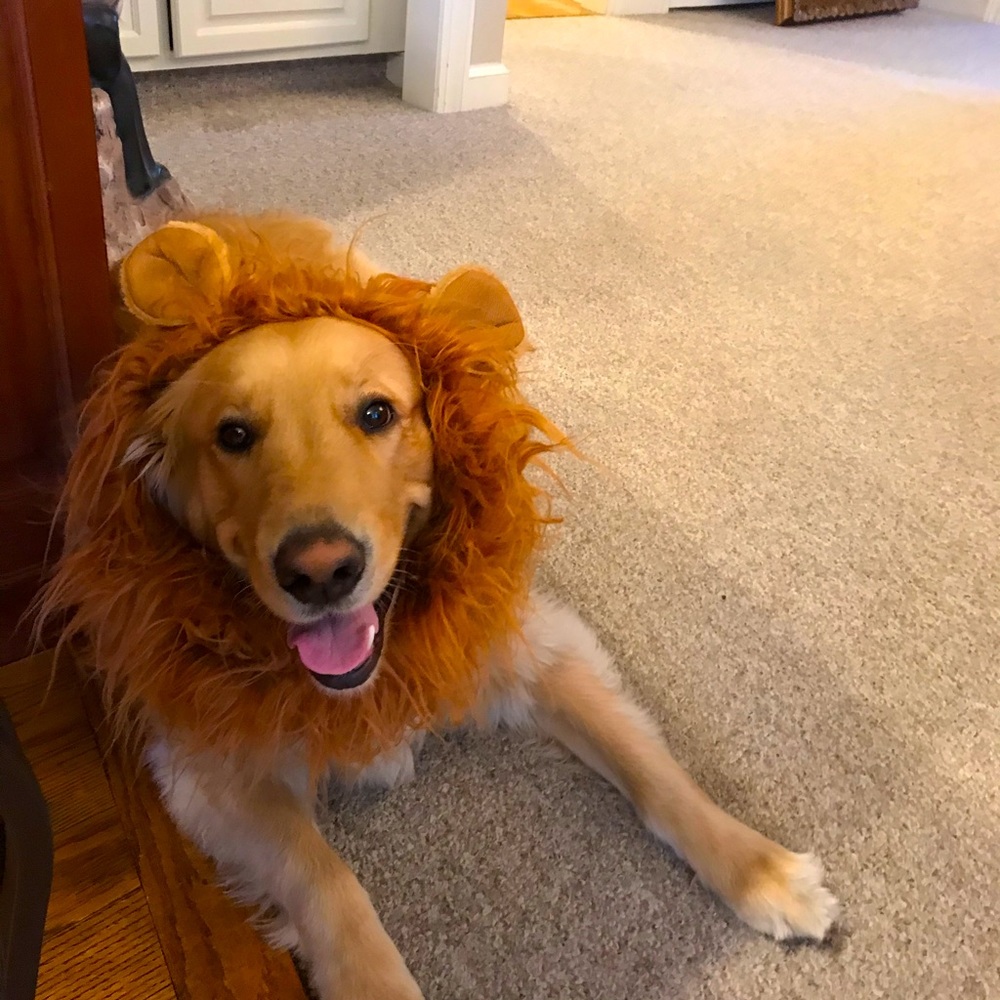 Lion King Headpiece